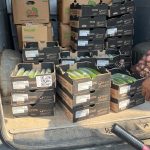 Act of Random Kindness - ENSURING FOUNDATIONAL FOOD SECURITY While Nourishing Minds and Reducing Disparities